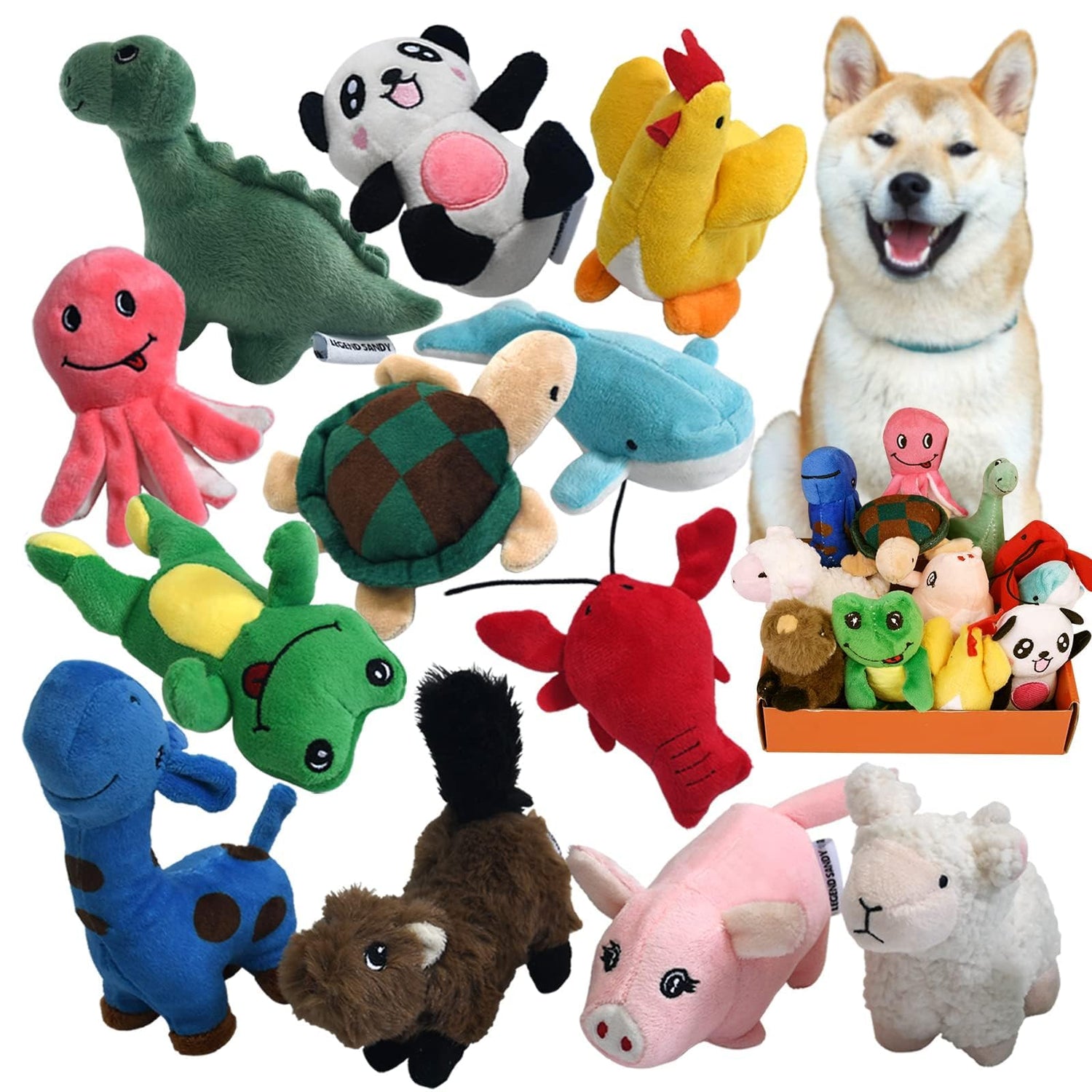 Toys (Chew toys, puzzle toys, fetch/chase toys, plush/squeaky toys)