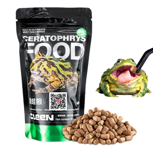 Horned Frog Feeder Food Reptile Accessories