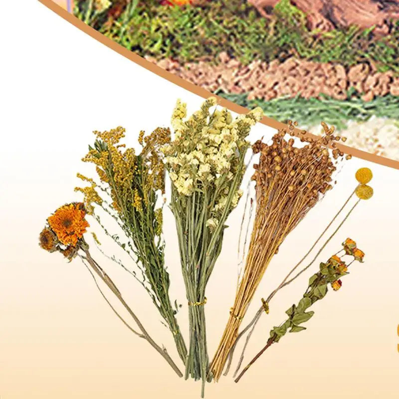 Dried Flowers And Plant Bedding Hamster Deodorizing Bedding Pet Bedding Hamster Cage Landscaping Supplies For Pets