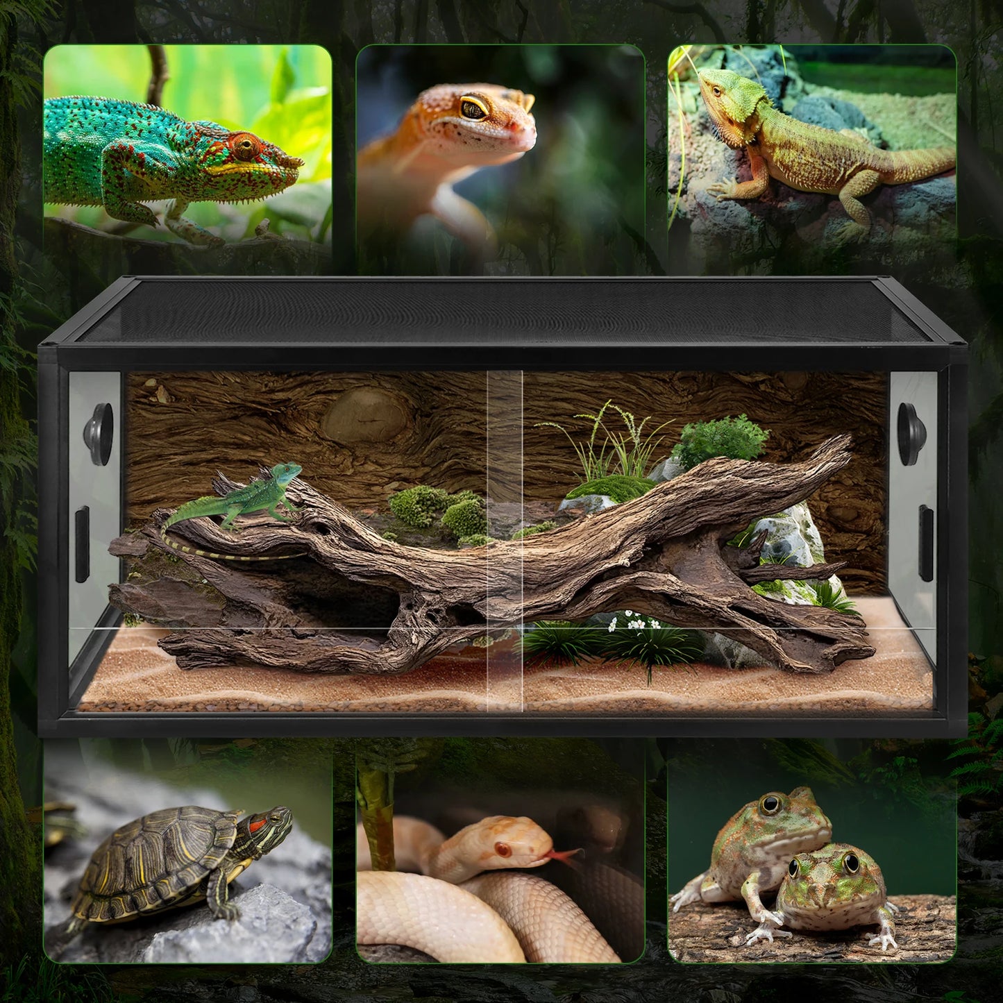 Climbing Pet Tank Lightweight Reptile Landscaping Container Front Opening Plant Gecko Ecological Tank for Snake Lizard Breeding