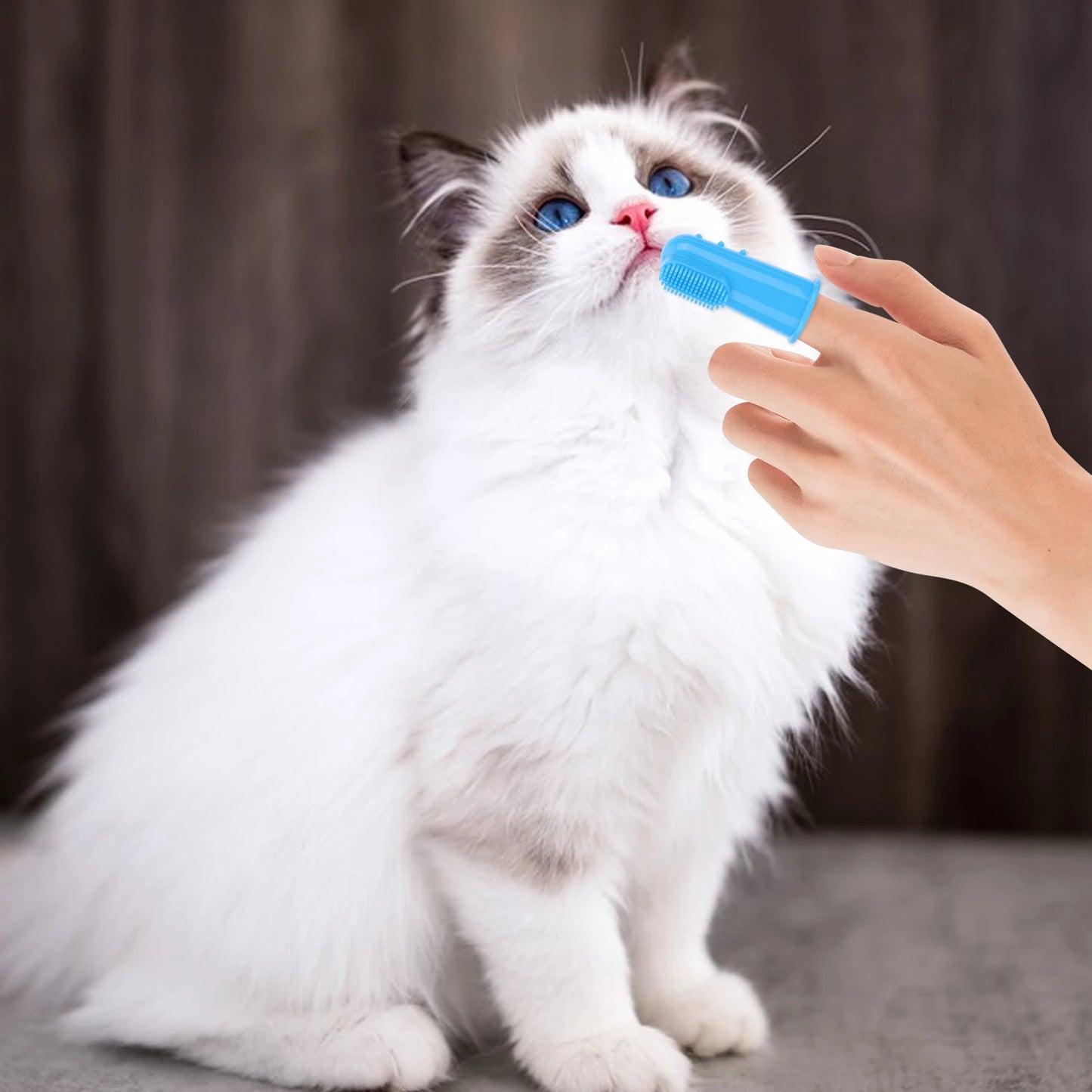 6PCS Pet Grooming Kit Silicone Dog Bath Brush Dog Toothbrush Finger Dog Bath Gloves Pet Grooming Gloves Dog Cat Bath Supplies