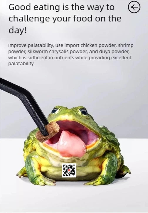 Horned Frog Feeder Food Reptile Accessories