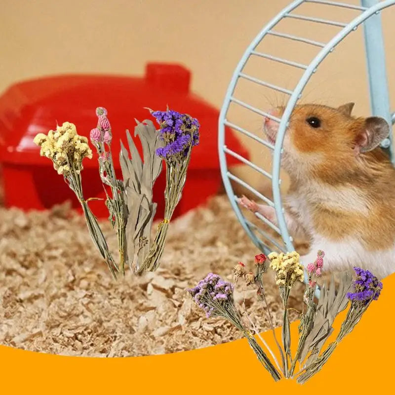 Dried Flowers And Plant Bedding Hamster Deodorizing Bedding Pet Bedding Hamster Cage Landscaping Supplies For Pets