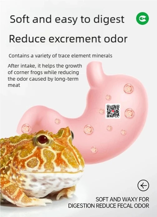 Horned Frog Feeder Food Reptile Accessories