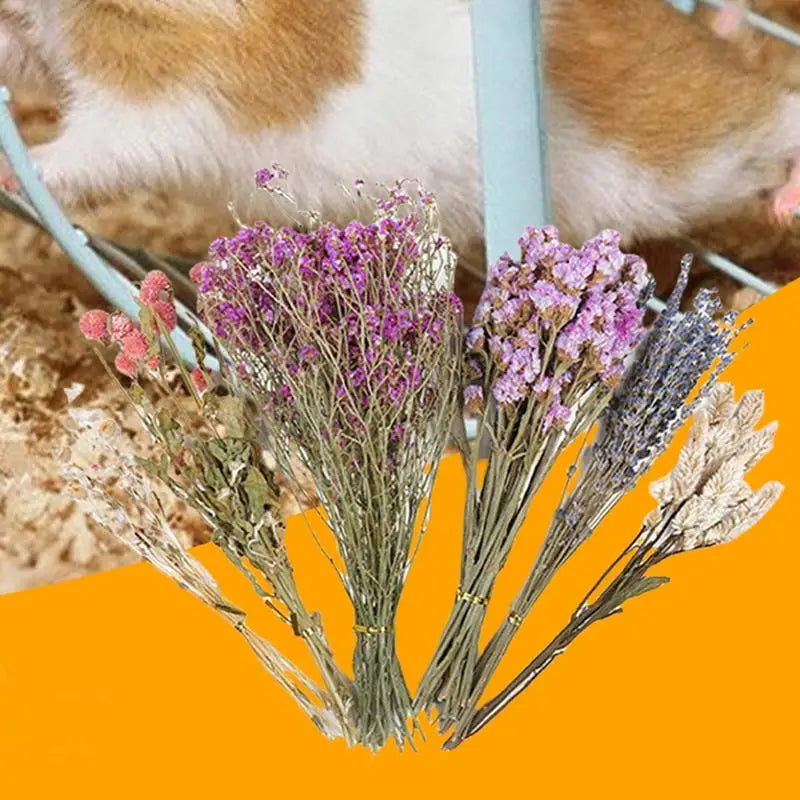 Dried Flowers And Plant Bedding Hamster Deodorizing Bedding Pet Bedding Hamster Cage Landscaping Supplies For Pets
