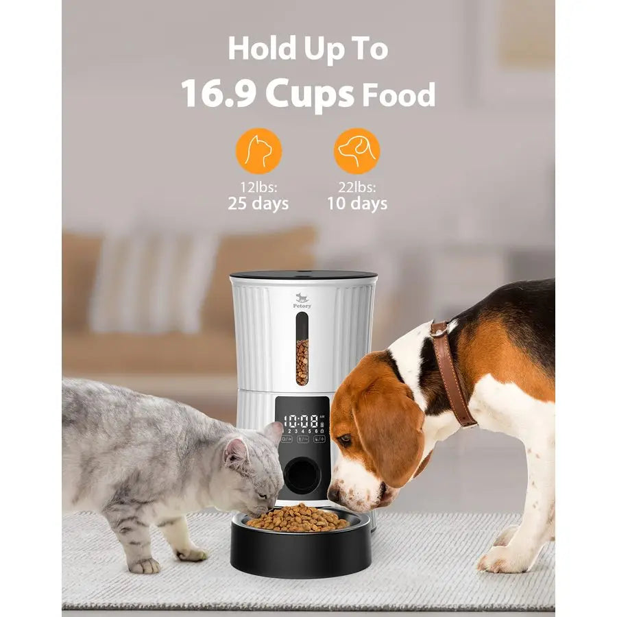 Timed Automatic Cat Feeders 4L Programable Dry Food Dispenser for Cats and Small Medium Dogs 6 Meals with Desiccant Bag Dual Po