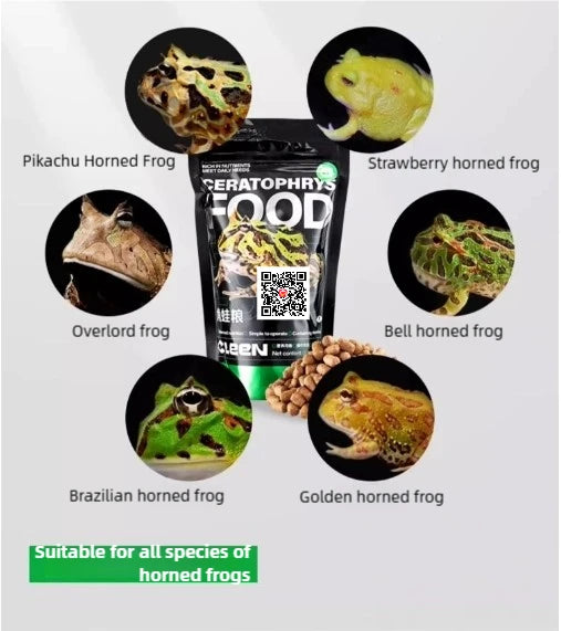 Horned Frog Feeder Food Reptile Accessories