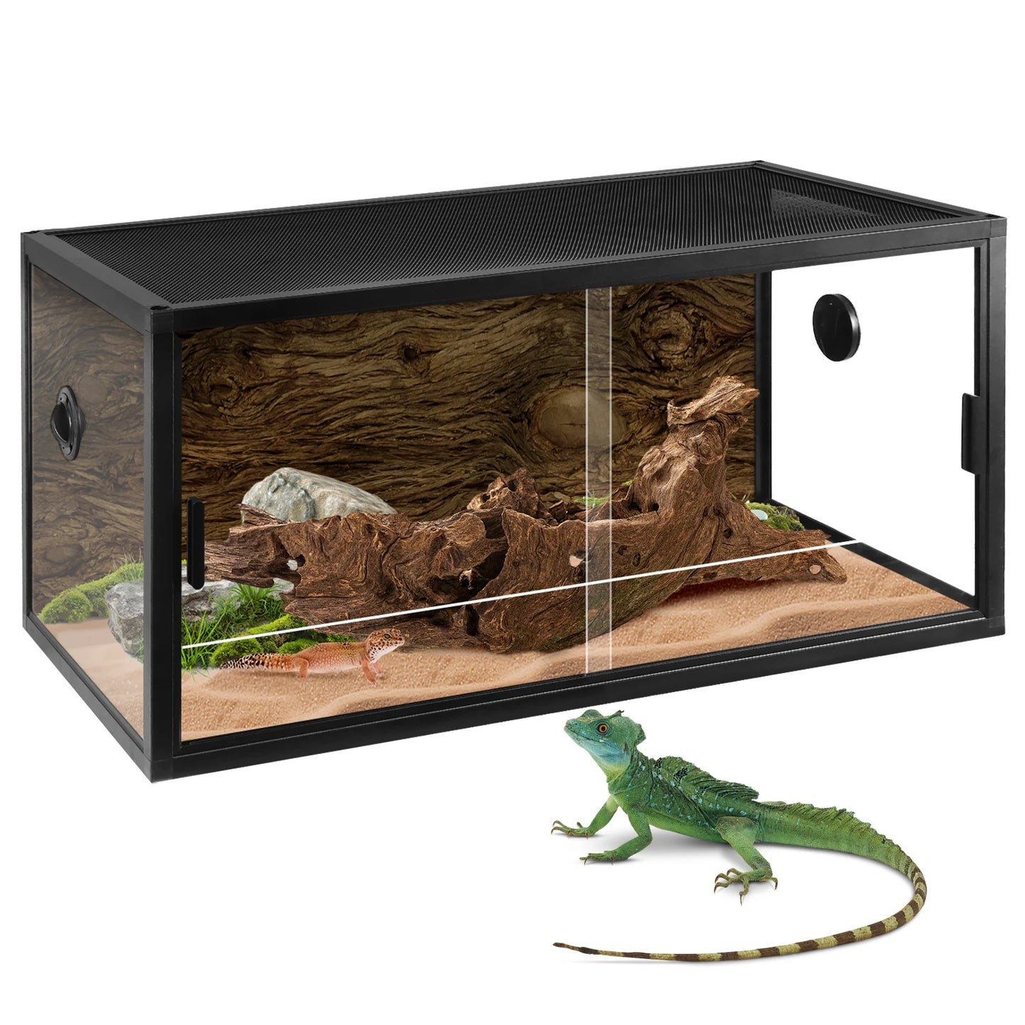 Climbing Pet Tank Lightweight Reptile Landscaping Container Front Opening Plant Gecko Ecological Tank for Snake Lizard Breeding