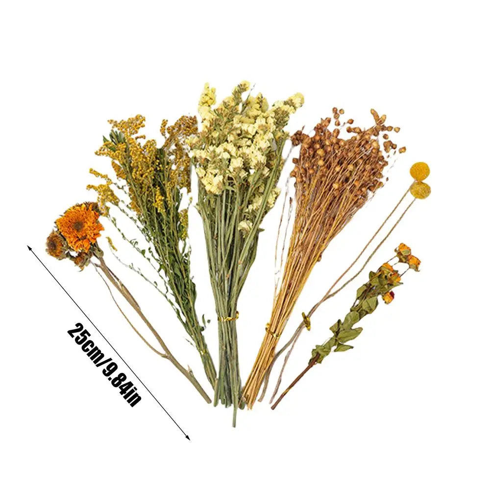 Dried Flowers And Plant Bedding Hamster Deodorizing Bedding Pet Bedding Hamster Cage Landscaping Supplies For Pets